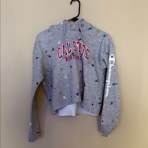 Champion Kids Gray Hoodie with Multicolor Accents